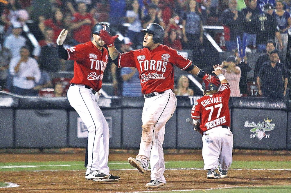 Toros y Pericos reanudan hoy la Serie del Rey, en Puebla. (TWITTER)