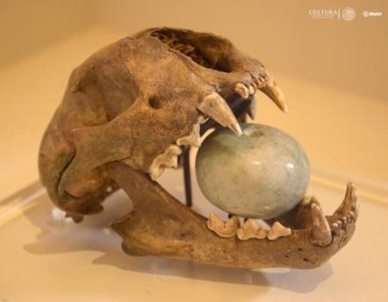 Turquesas y jades, dos joyas mágicas en la antigua Tenochtitlan