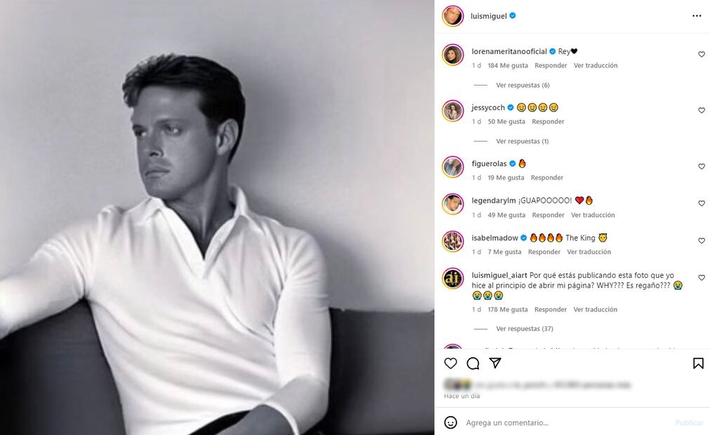 Luis Miguel comparte foto hecha con IA.