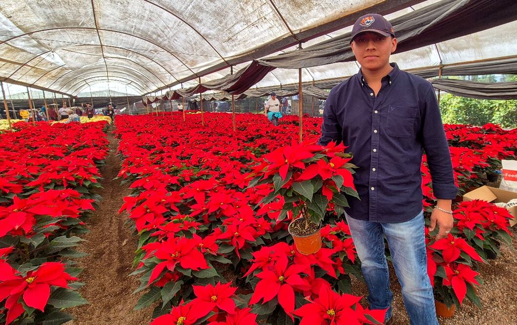 Venta de nochebuena en Xochimilco. Foto: Jorge Medellín/EL UNIVERSAL