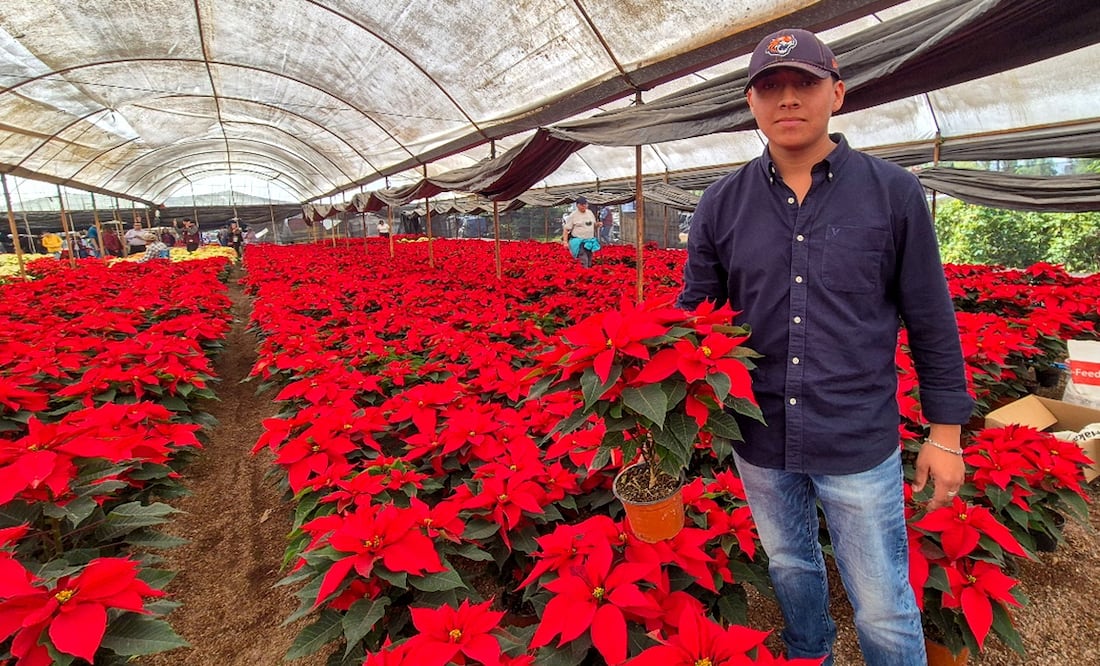 Venta de nochebuena en Xochimilco. Foto: Jorge Medellín/EL UNIVERSAL