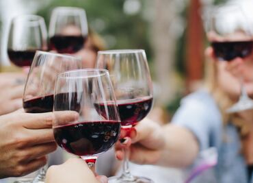 Disfruta de lo mejor del vino de Guanajuato en el festival Tinto Bajío