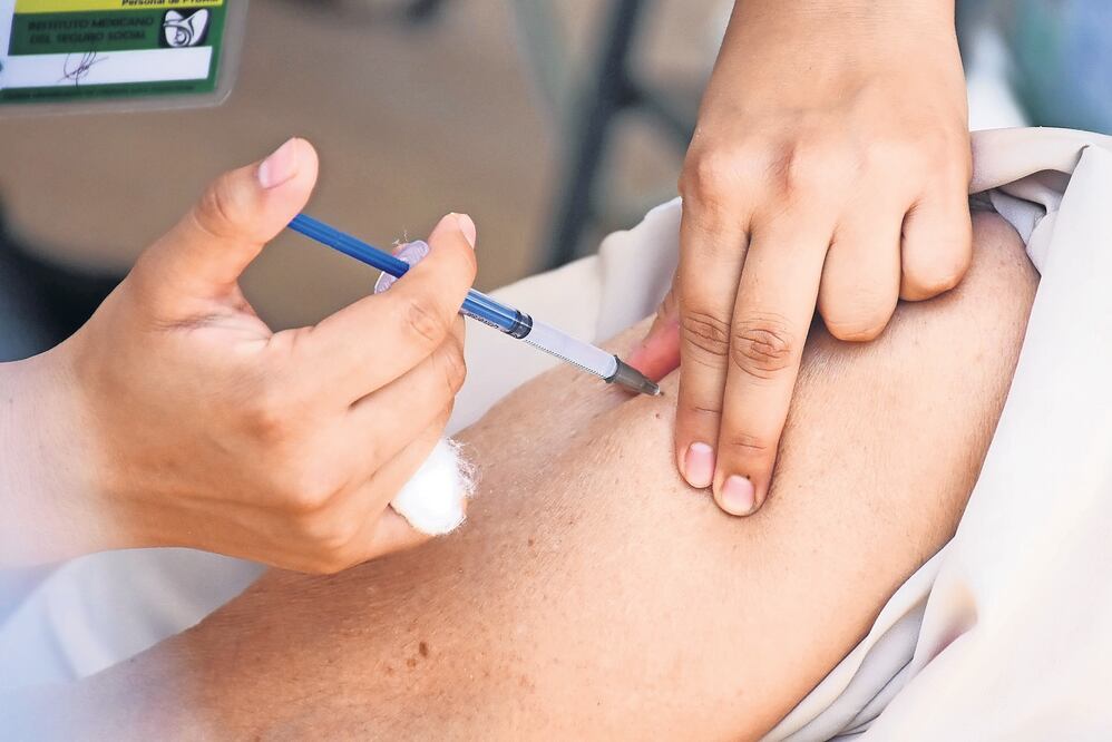 Foto: Archivo/EL UNIVERSAL