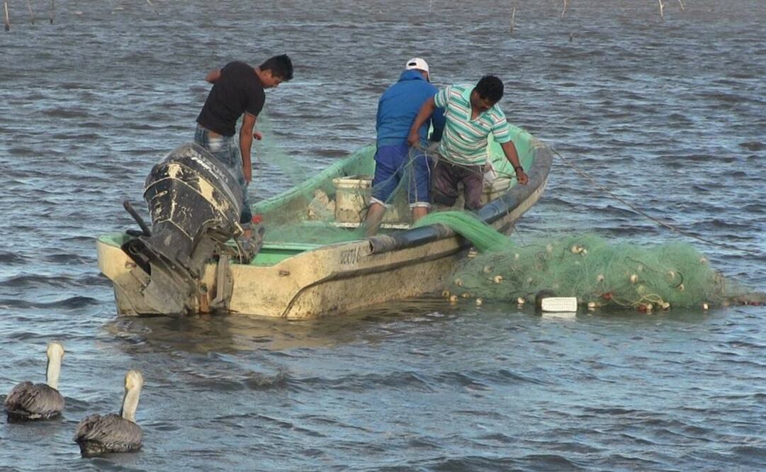 Imagen ilustrativa. Foto: Archivo/EL UNIVERSAL