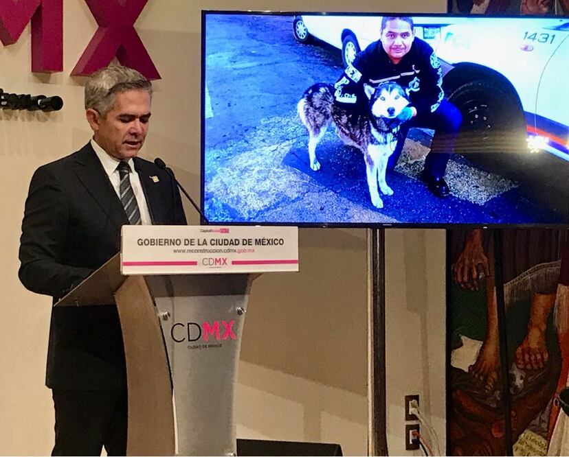 Foto: Phenélope Aldaz / El Universal