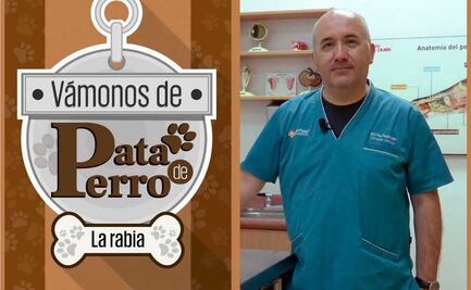 Vámonos de Pata de Perro. Cuidado con la rabia