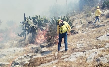 Reportan activos 5 incendios forestales en Puebla; suman cerca de 100 hectáreas afectadas