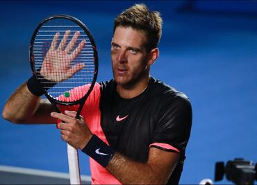 Juan Martín del Potro causa baja del AMT