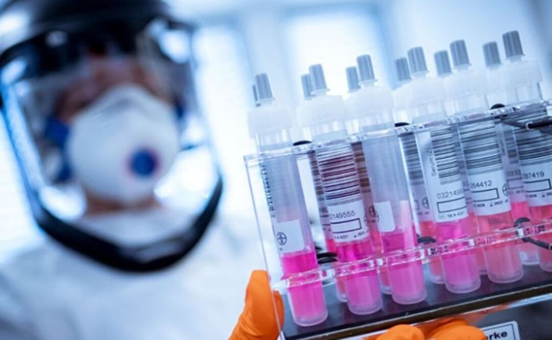 UNAM's COVID-19 vaccine is on the first stage pf animal testing - Photo: Taken from UNAM's Facebook account