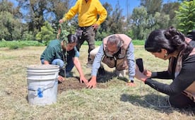Evento Nacional de Reforestación 2026: plantan 500 árboles en Bosque de San Juan de Aragón; conmemoran el Día del Árbol