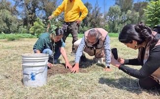Evento Nacional de Reforestación 2026: Plantan 500 árboles en Bosque de San Juan de Aragón; conmemoran el Día del Árbol