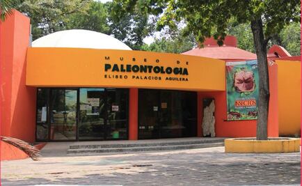 Exhiben ámbar con araña de 23 millones de años en Chiapas