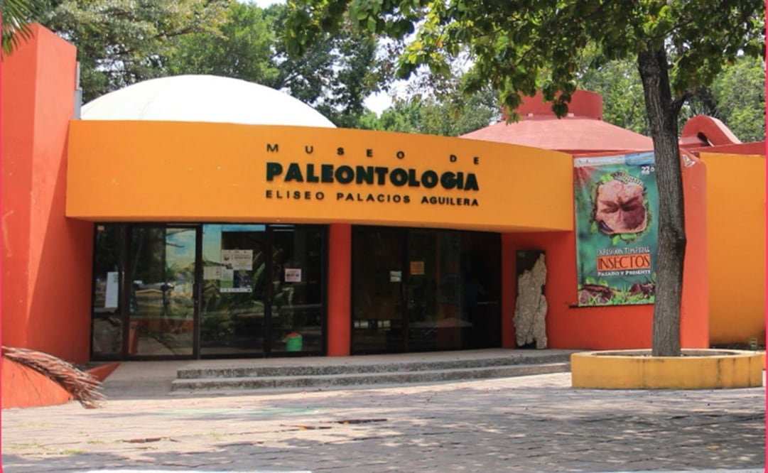 Foto: Twitter: @Sectur_Chiapas