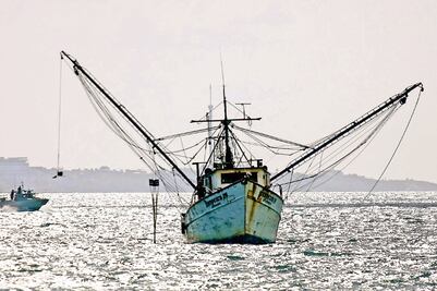 “Piratas” asaltan barco camaronero en Mazatlán