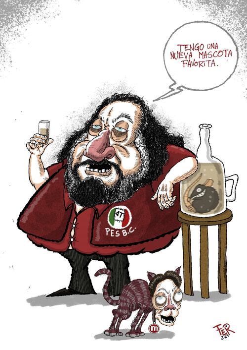 Cartón de FER