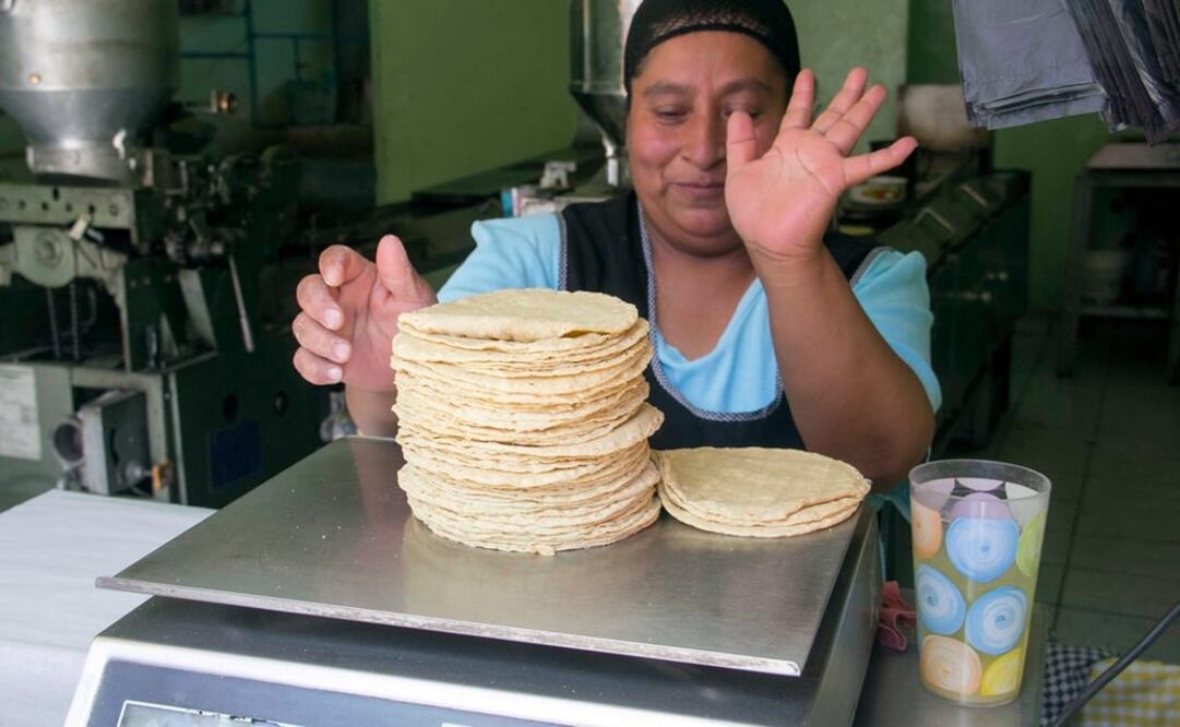 Sube precio de maíz y derivados por efecto Trump