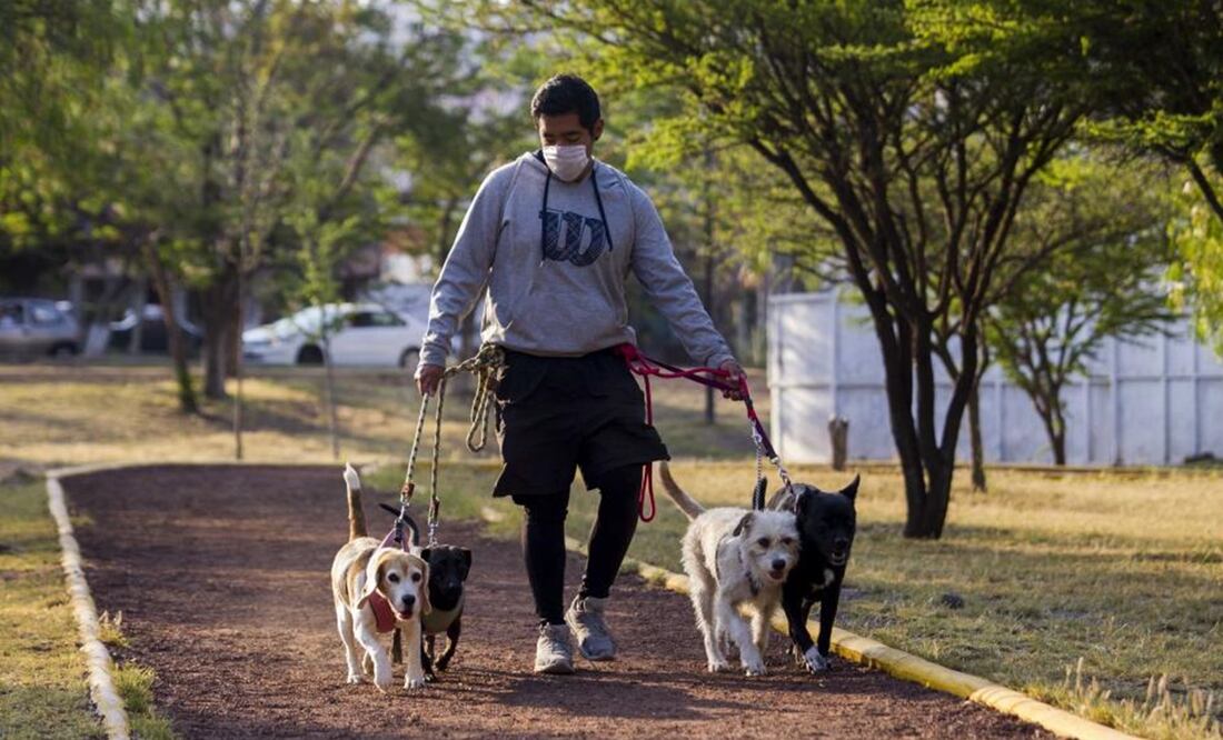 Foto: Archivo/EL UNIVERSAL