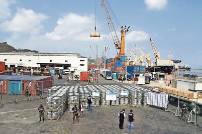 Destruyen 753 ton de productos con plagas