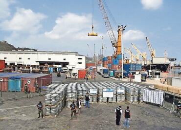 Destruyen 753 ton de productos con plagas