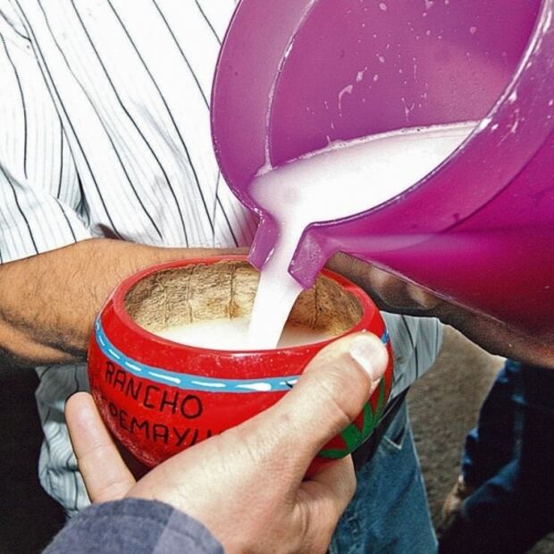 Este fin se realizará la Feria del pulque y la barbacoa 2019