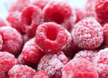 Guía para congelar y conservar frutas frescas