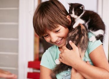¿Cuáles son los beneficios de tener un gato en una casa con niños?; descubre la opinión de los expertos