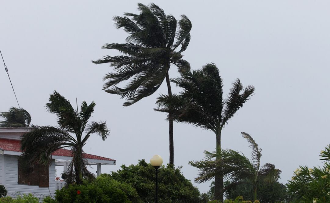 Foto: Archivo/ Reuters      