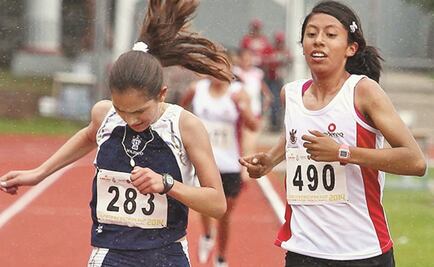 Modernizarán la Olimpiada Nacional