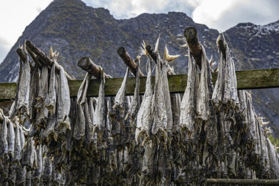 Conoce el bacalao noruego y sus beneficios