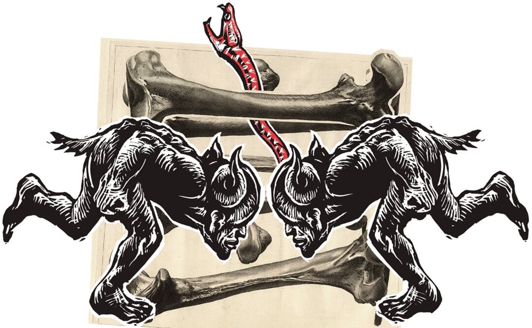 PAN, guerra por el Senado