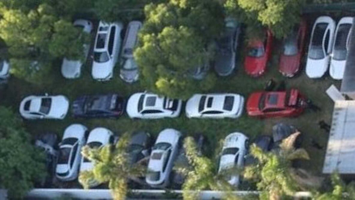 Policía recupera 35 autos de lujo robados; valen 50 millones de pesos