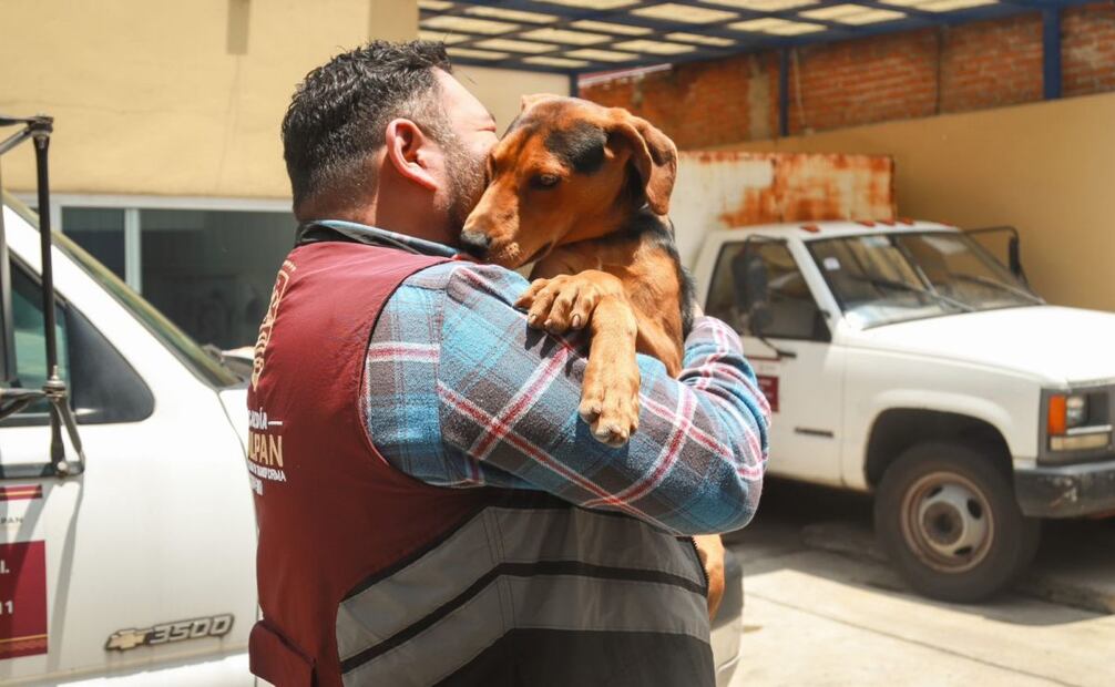 Clínica veterinaria de Tlalpan ha brindado 23 mil atenciones (18/08/2025). Foto: Especial