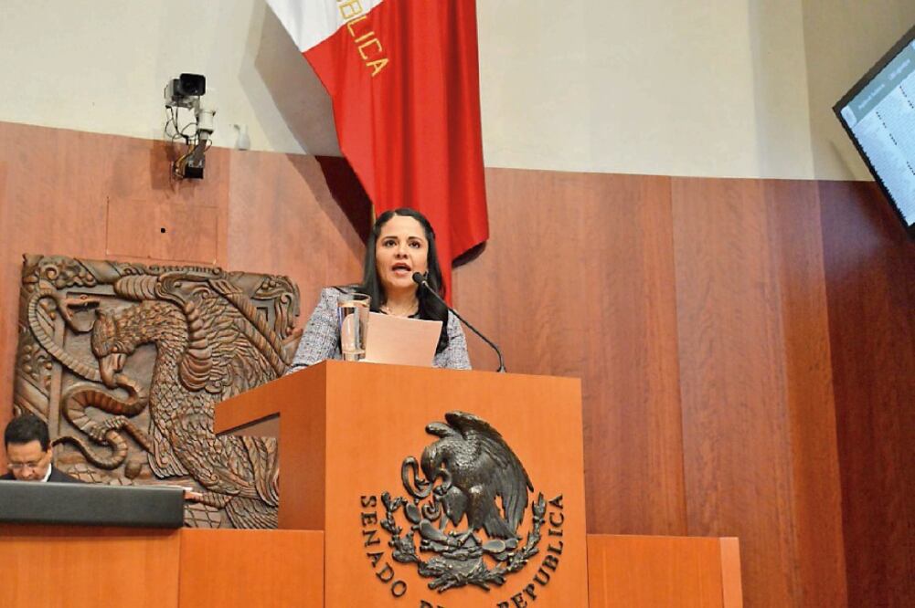 La senadora Lilia Merodio (PRI), presidenta de la Comisión de Atención a Grupos Vulnerables, dijo que se incorpora a la propuesta la promoción de nuevas campañas de sensibilización pública con respecto a las personas con discapacidad (ESPECIAL)