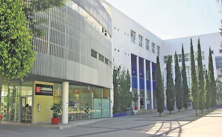 Desaprueban destitución de académica “por rebeldía” en el CIDE hecha por director interino