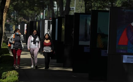 ¿Qué nivel de riesgo tengo ante el Covid-19 y cómo puedo evitar el contagio?