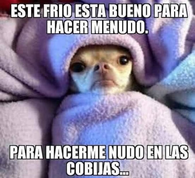 Los mejores memes que dejó el Frente Frío 29. Foto: Redes sociales