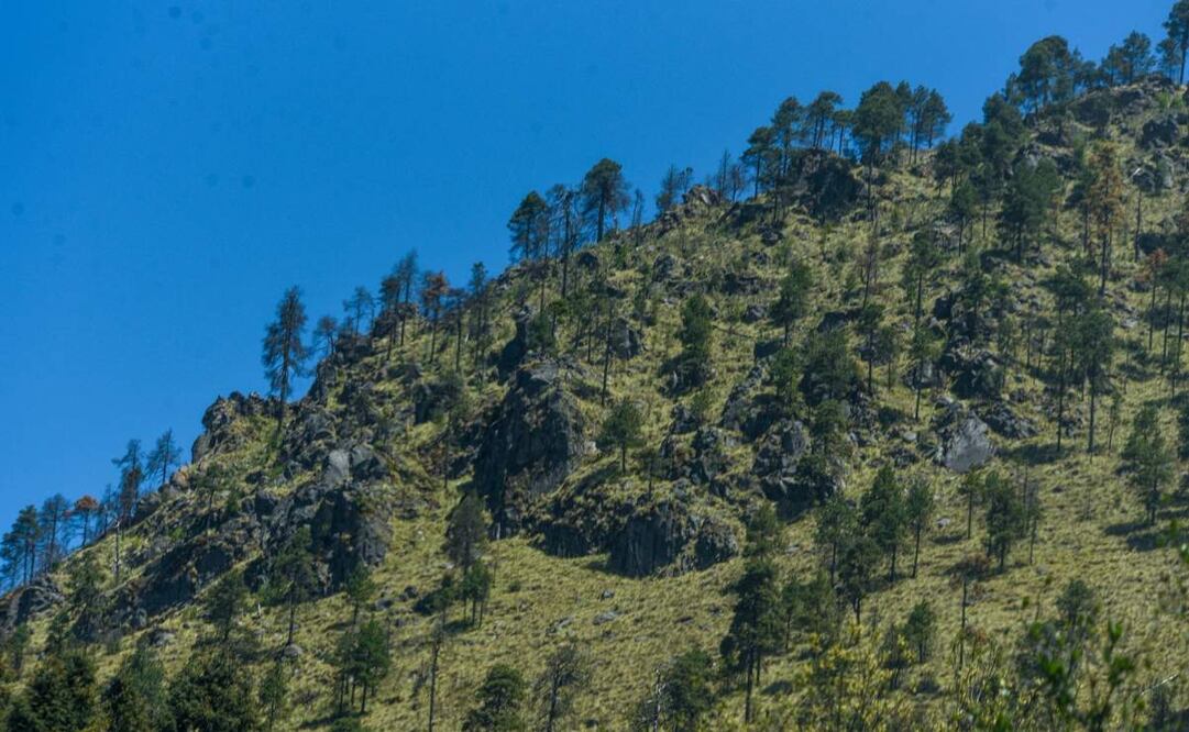 La vegetación de la zona del Nevado de Toluca ha disminuido sobre todo en la parte alga de los cerros cercanos, imagen del 25 de marzo de 2025. Foto: Cristanta Espinosa/ Cuartoscuro