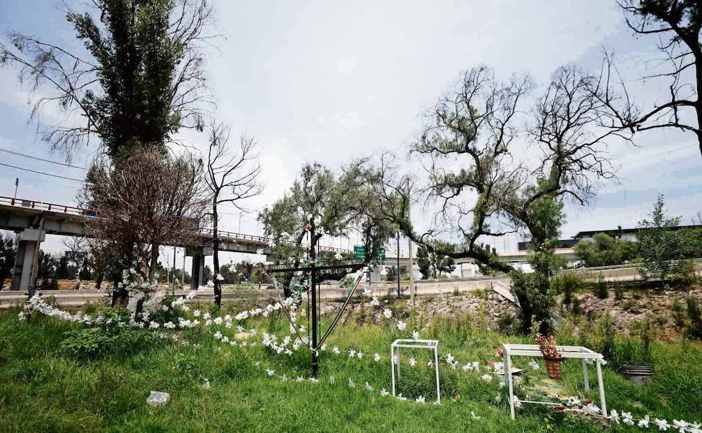 En el lugar el pasto está crecido y las flores de papel cuelgan de hilos, algunas rotas. El memorial rinde homenaje a víctimas como Irving Carrillo y Laura Barrera, entre otras. Foto: DIEGO SIMÓN SÁNCHEZ/EL UNIVERSAL