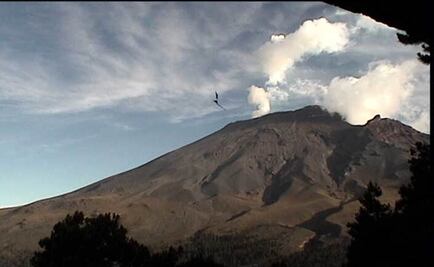 Popocatépetl spews 100 low-intensity exhalations 