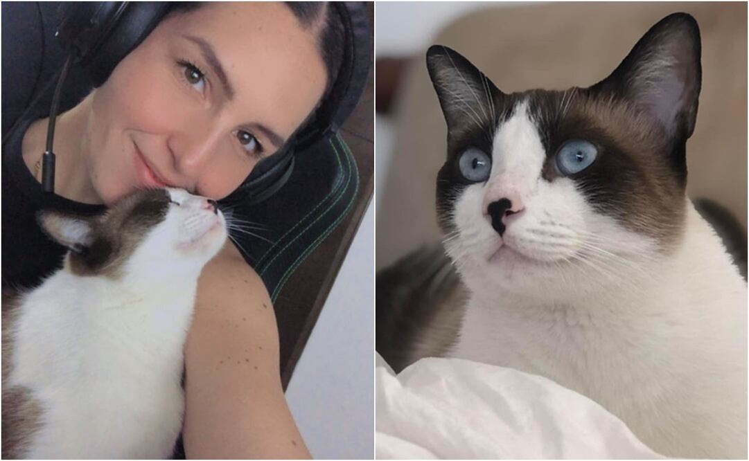 La activista manifestó su sentir por la violencia ejercida por parte de su madre. Foto: Instagram. @re_villarreal