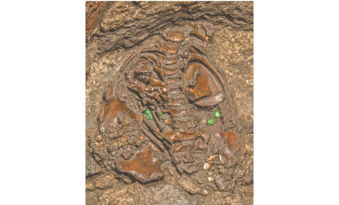 En el interior de una piedra circular de 500 años se hallaron los restos de un joven sacrificado que presenta vestimentas correspondientes a un guerrero. Se cree que el ritual fue ofrecido al dios Huitzilopochtli. Foto: REUTERS