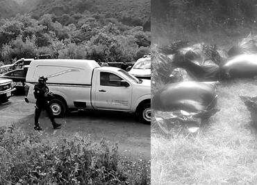 Investigan a policías por caso de cuatro cuerpos descuartizados y embolsados en Veracruz