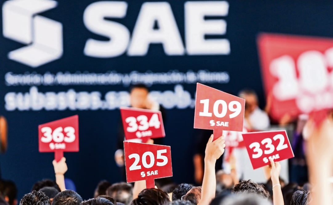 The money obtained at the auctions has been transferred to poor communities - Photo: Francisco Cañedo/XINHUA