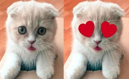 Twitter quiere usar stickers