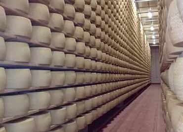Muere empresario italiano tras ser aplastado por 25 mil quesos Grana Padano