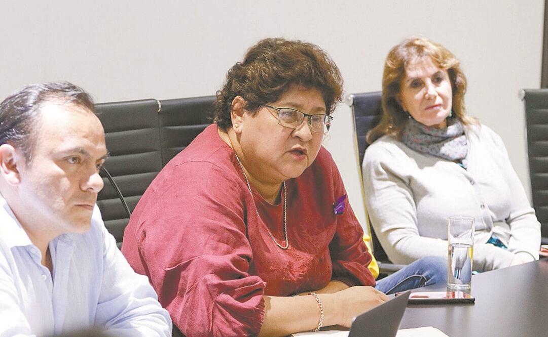 La titular de la Secretaría de Finanzas y Planeación, Yohanet Torres Muñoz, detalló en qué consisten los estímulos fiscales y a quiénes se les otorgarán. Foto: Especial