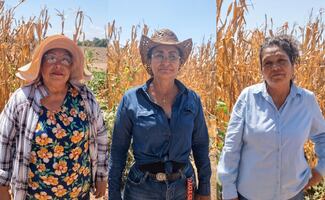 Productoras de Sinaloa respaldan planta de fertilizantes en Topolobampo; necesitamos infraestructura de fácil acceso, dicen
