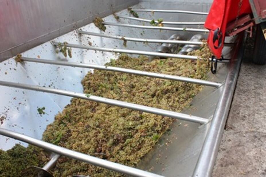 Sicilia paraíso vitivinícola