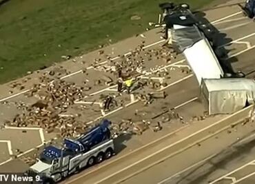 Miles de juguetes sexuales quedan desparramados en la carretera tras accidente de tráiler en EU