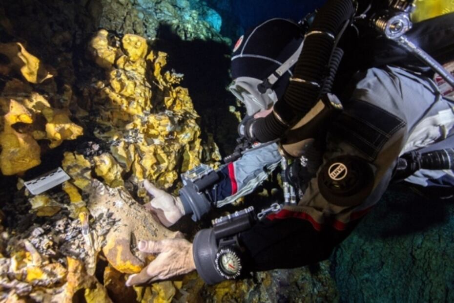 Descubren nuevas especies de reptil y un felino en Hoyo Negro de Quintana Roo
